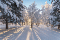 Вебинары февраля 2026 года