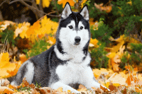 Вебинары сентября 2025 года