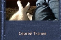 Сергей Ткачев «Как я провел лето»