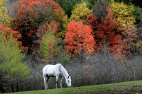 Вебинары октября 2025 года