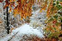 Вебинары ноября 2025 года