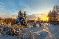 Вебинары декабря 2025 года