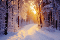 Вебинары января 2026 года